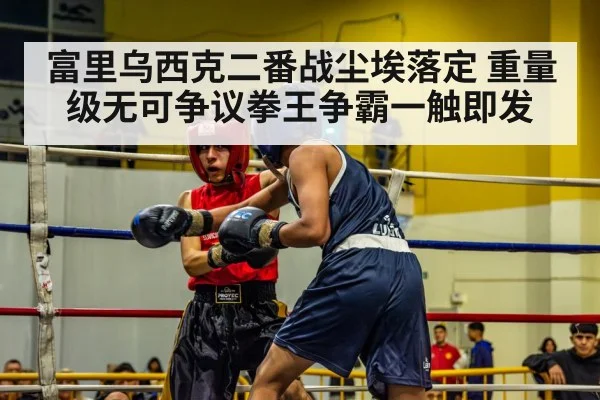 富里乌西克二番战尘埃落定 重量级无可争议拳王争霸一触即发